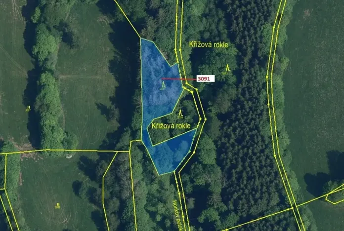 Dražba lesa, Benešov u Semil, 1964 m2