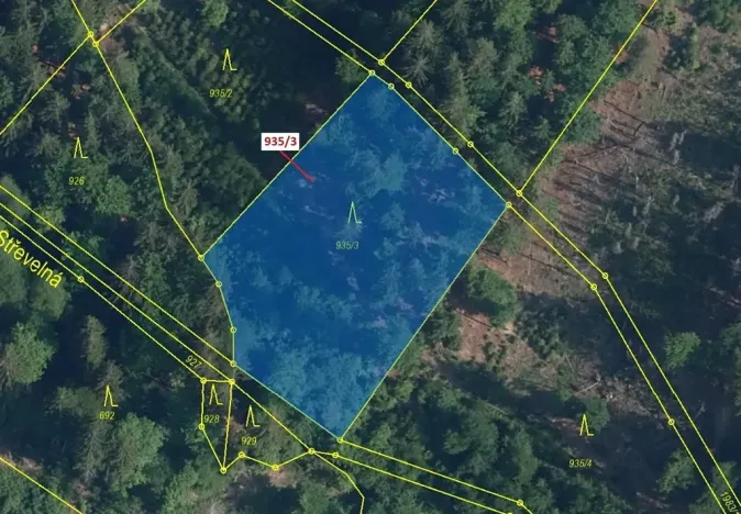 Dražba lesa, Jílové u Držkova, 2349 m2