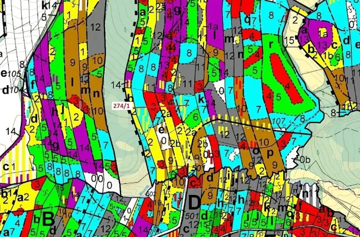 Dražba lesa, Psárov, 2949 m2