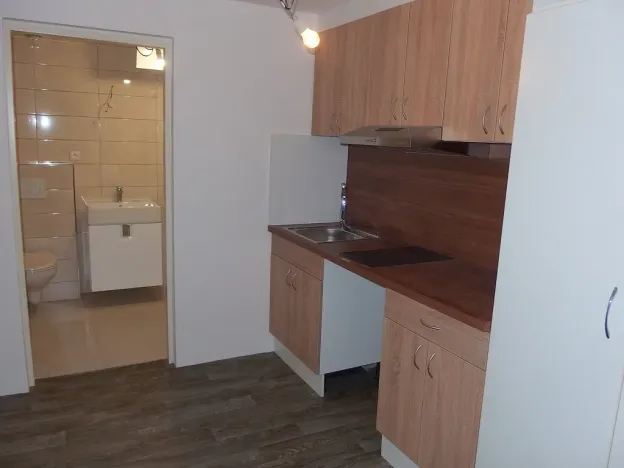 Pronájem bytu 1+kk, Zlín, U Náhonu, 29 m2