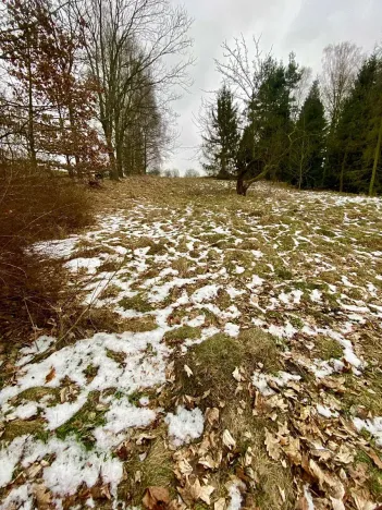 Prodej pozemku pro bydlení, Pertoltice pod Ralskem, 1796 m2