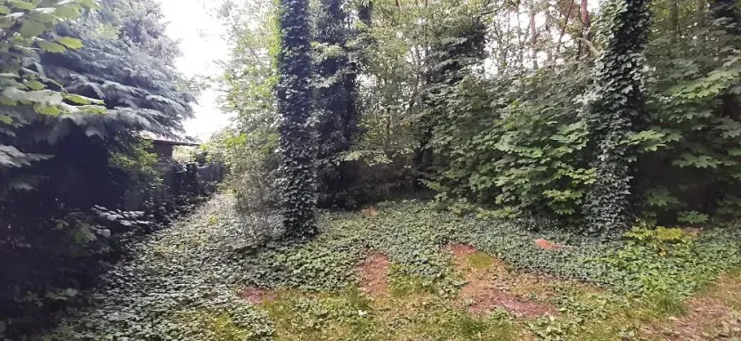 Prodej lesa, Mostkovice, 576 m2