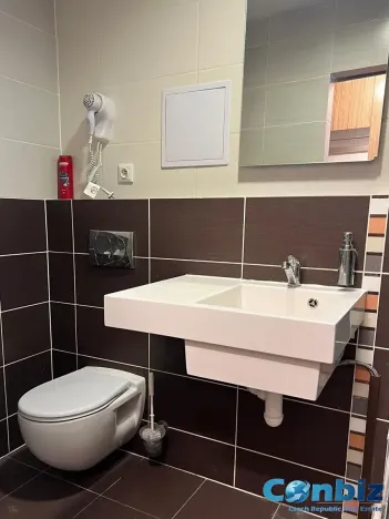 Pronájem bytu 1+kk, Praha - Suchdol, Suchdolské náměstí, 24 m2