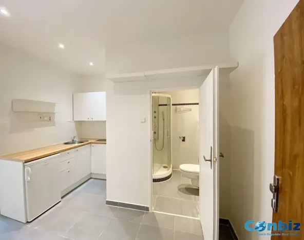 Pronájem bytu 1+1, Praha - Karlín, Peckova, 29 m2