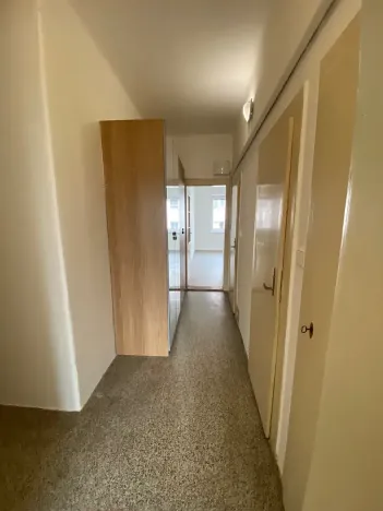 Pronájem bytu 1+1, Plzeň, Alešova, 50 m2