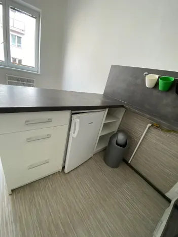 Pronájem bytu 1+1, Plzeň, Alešova, 50 m2