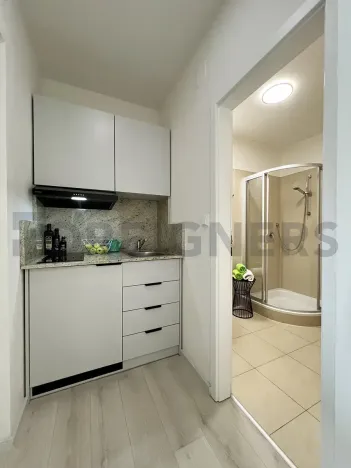 Pronájem pokoje, Praha - Libeň, Kotlaska, 18 m2