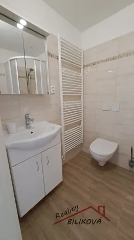 Pronájem bytu 1+1, Brandýs nad Labem-Stará Boleslav, Mariánské náměstí, 32 m2