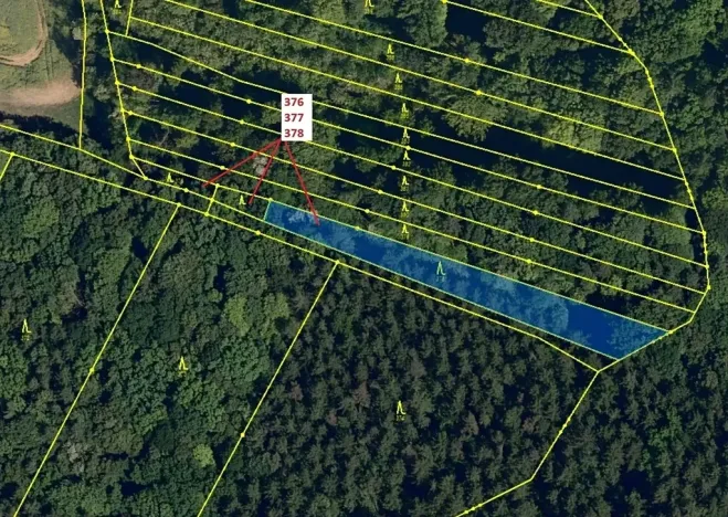 Dražba lesa, Hradčany-Kobeřice, 1703 m2