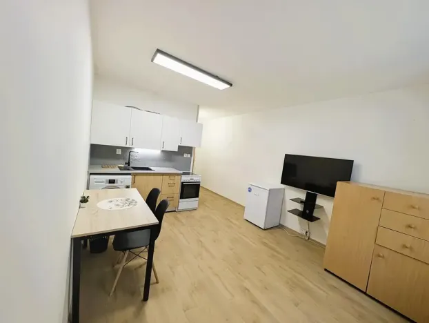 Pronájem bytu 1+kk, Sokolov, Mičurinova, 21 m2