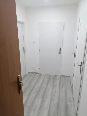 Pronájem bytu 1+1, Most, Žatecká, 39 m2