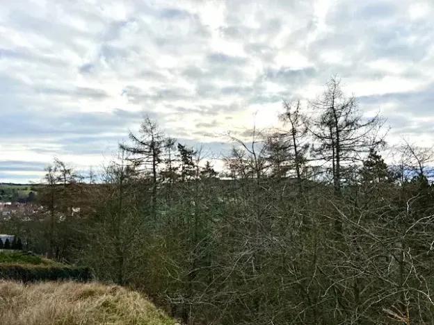 Prodej zahrady, Nové Strašecí, Sukova, 934 m2