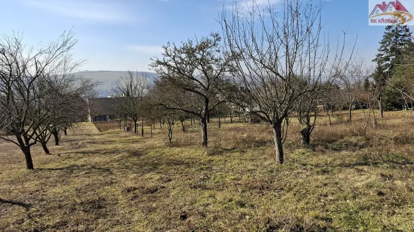 Prodej rodinného domu, Boršice, 280 m2