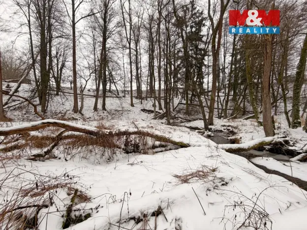 Prodej rybníku, Dolní Hořice - Pořín, 8552 m2