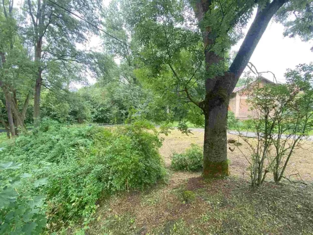 Prodej pozemku, Březová, 1993 m2