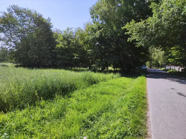 Prodej zahrady, Černovice - Panské Mlýny, 4180 m2