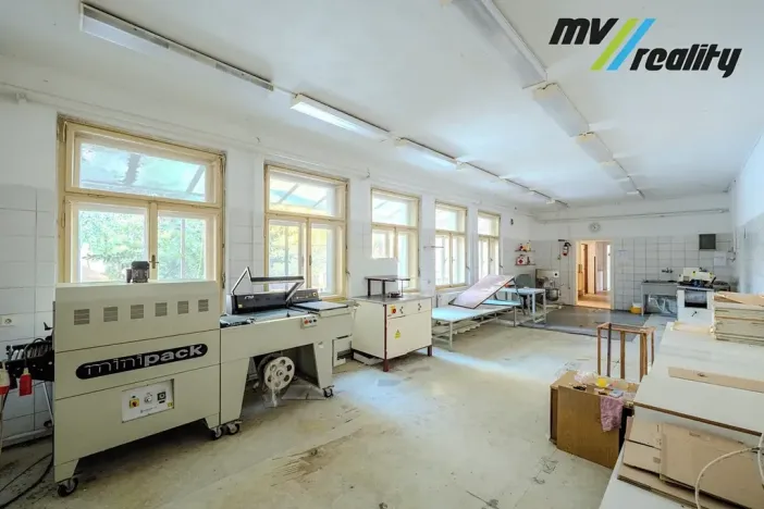 Prodej výrobních prostor, Hořice, Riegrova, 720 m2