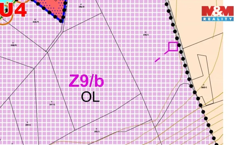 Prodej komerčního pozemku, Náchod - Běloves, 13250 m2