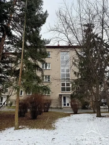 Pronájem bytu 3+kk, Čáslav, Družstevní, 51 m2