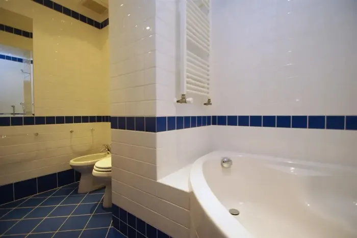 Pronájem bytu 2+1, Praha - Vinohrady, Anny Letenské, 54 m2