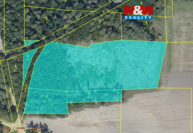 Prodej lesa, Ohaře, 13230 m2