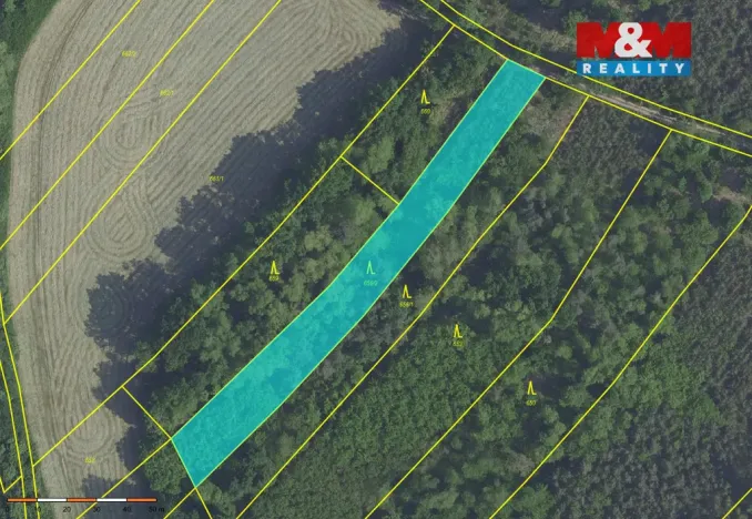 Prodej lesa, Svatý Mikuláš, 20624 m2