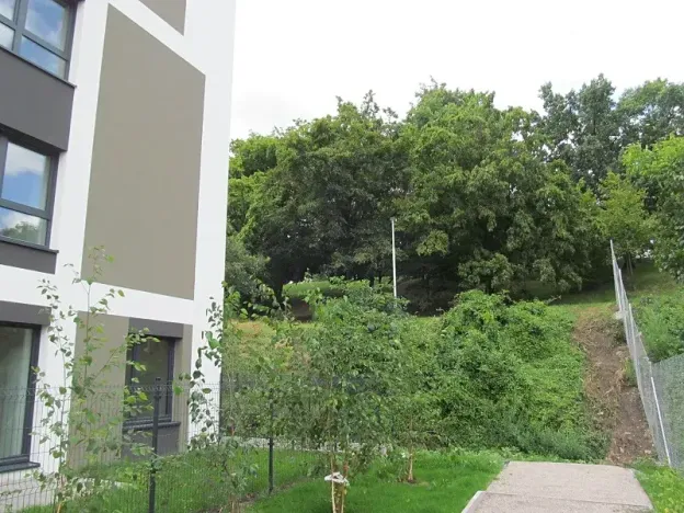 Prodej kanceláře, Praha - Žižkov, Olgy Havlové, 71 m2