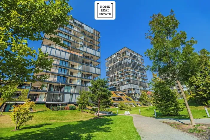 Pronájem bytu 1+kk, Praha - Žižkov, Pitterova, 47 m2