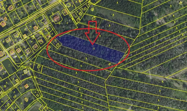 Prodej lesa, Lštění, 7603 m2