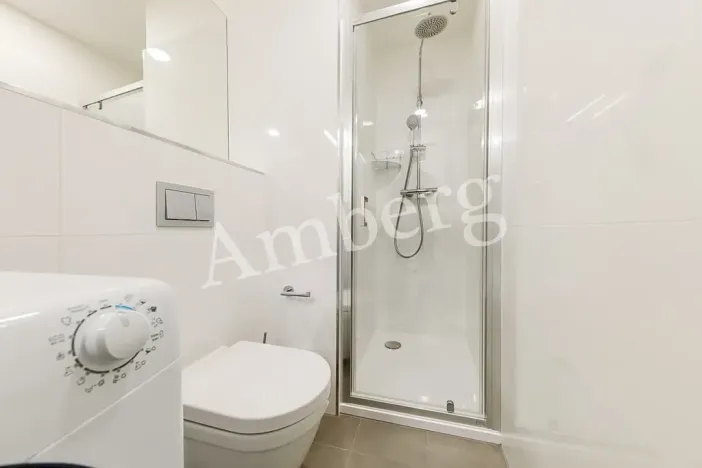 Pronájem bytu 1+kk, Praha - Vinohrady, Perucká, 26 m2