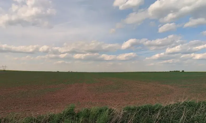 Prodej podílu pole, Vyšehořovice, 1785 m2