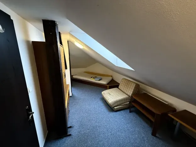 Pronájem pokoje, Praha - Nové Město, Tyršova, 12 m2