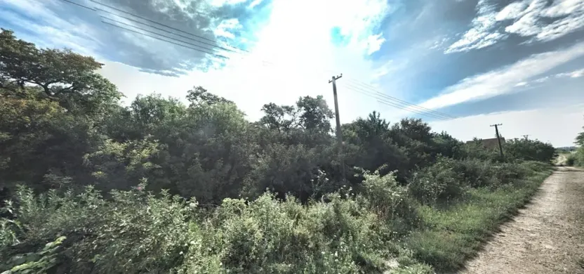 Pronájem zahrady, Hustopeče, 7122 m2