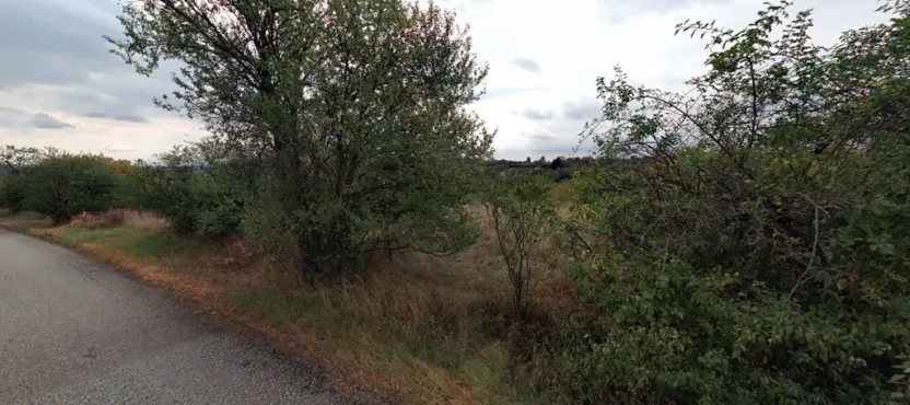 Pronájem zahrady, Dolní Kounice, 1406 m2