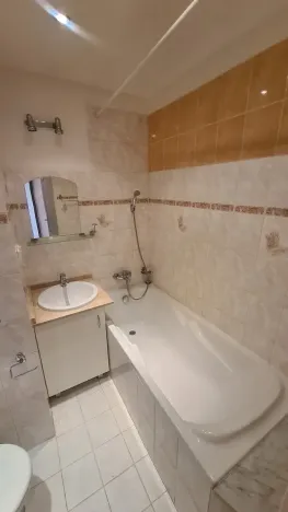 Pronájem bytu 1+1, Praha - Chodov, Brodského, 30 m2