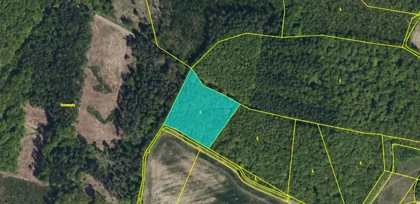 Dražba lesa, Kasalice, 7304 m2