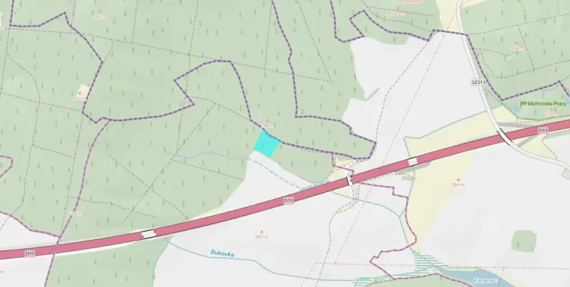 Dražba lesa, Kasalice, 7304 m2