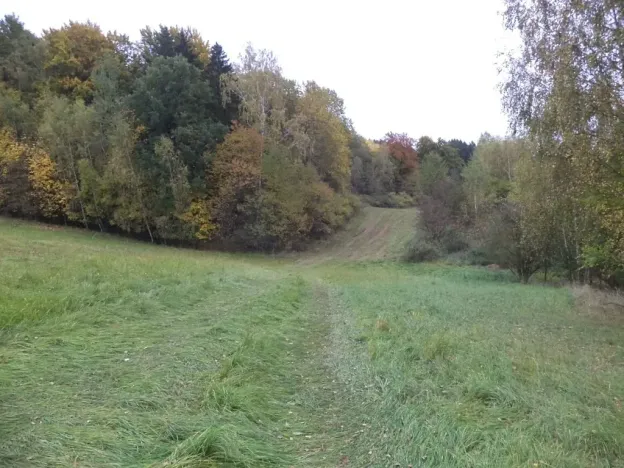 Dražba pozemku pro bydlení, Vidochov, 4068 m2