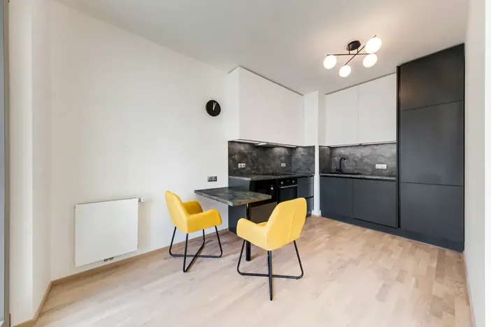 Pronájem bytu 1+kk, Praha - Karlín, Breitfeldova, 40 m2