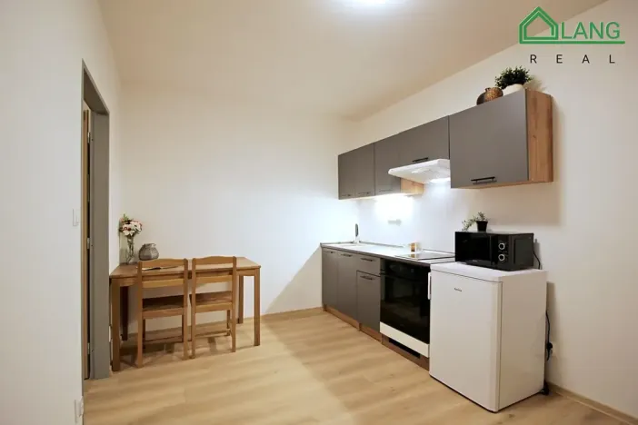 Pronájem bytu 1+kk, Brno, Francouzská, 31 m2