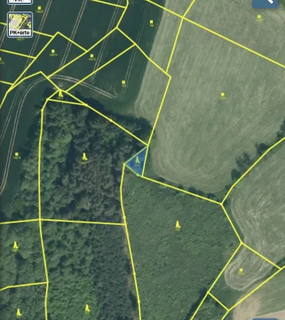 Prodej lesa, Čepřovice, 193 m2