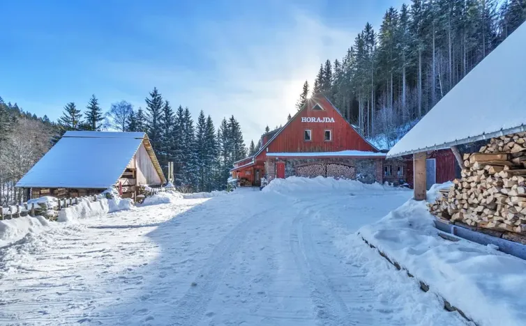 Prodej chalupy, Vítkovice, 500 m2