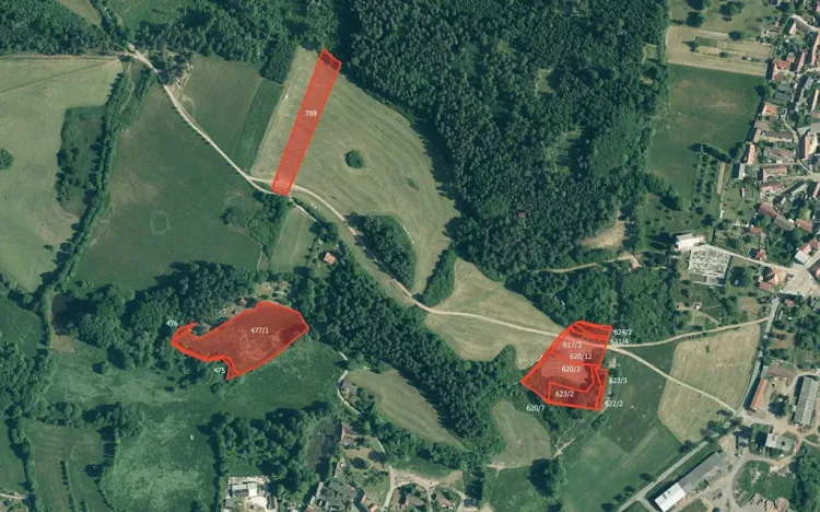 Prodej louky, Pačejov, 13638 m2