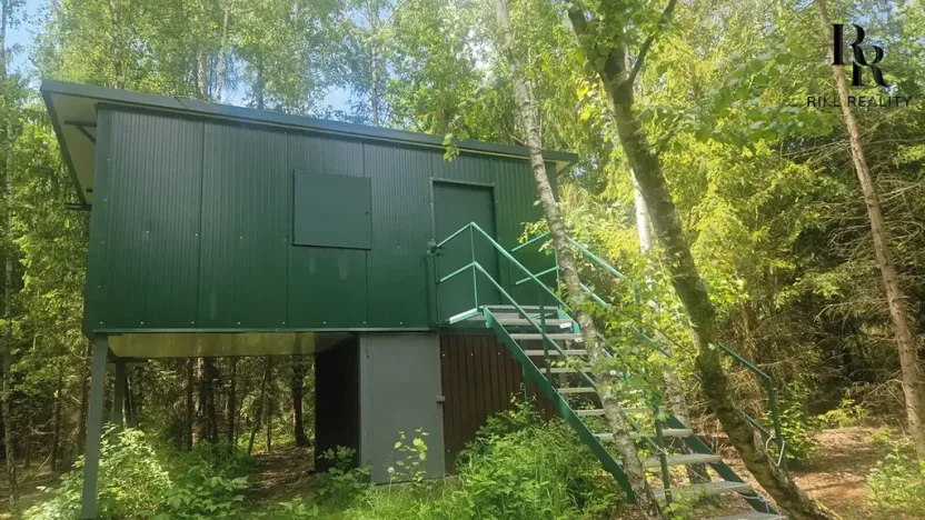 Prodej lesa, Hlubočky, 6680 m2