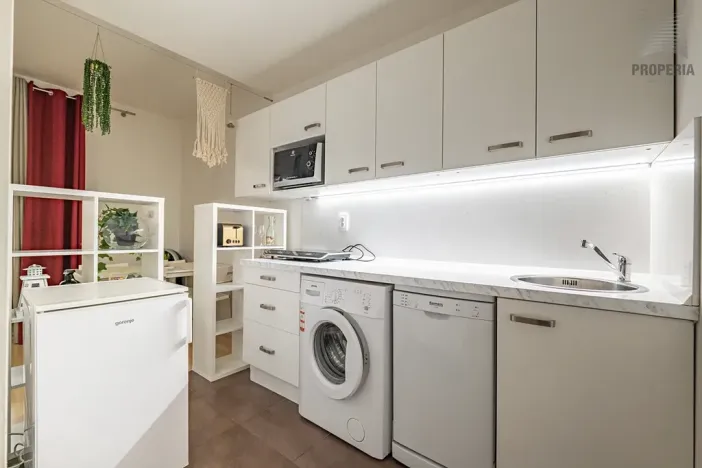 Prodej bytu 1+kk, Brno, U Leskavy, 34 m2