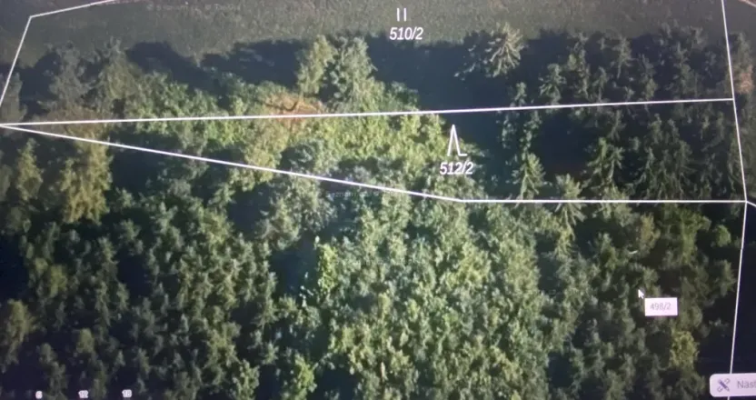 Prodej lesa, Čepřovice, 982 m2