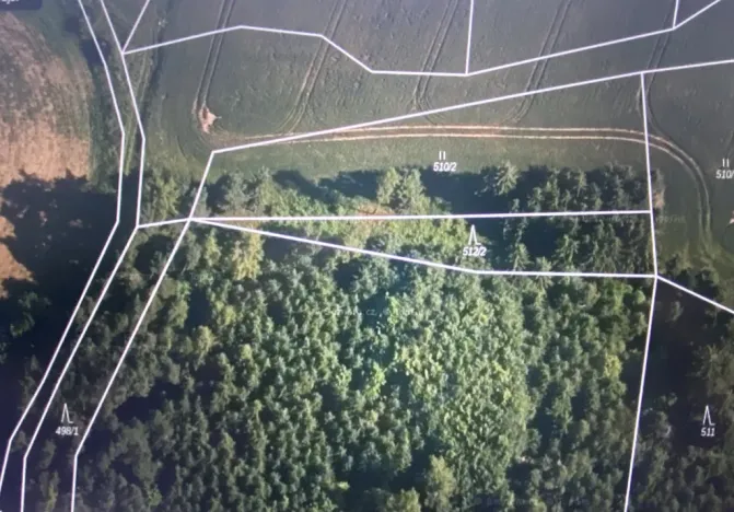 Prodej lesa, Čepřovice, 982 m2