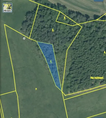 Prodej lesa, Čepřovice, 1644 m2