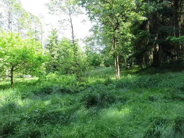 Prodej louky, Velký Šenov, 3266 m2