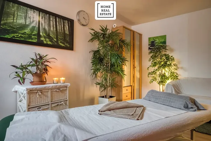 Prodej rodinného domu, Mariánské Lázně, Křižíkova, 700 m2